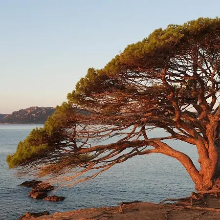 Liccia Di Furu Lejlighedshotel 4*