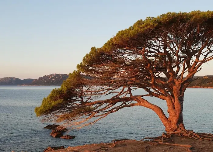 Liccia Di Furu Aparthotel 4*