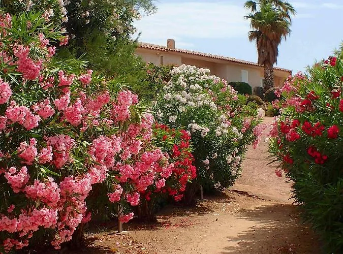 Aparthotel Liccia Di Furu